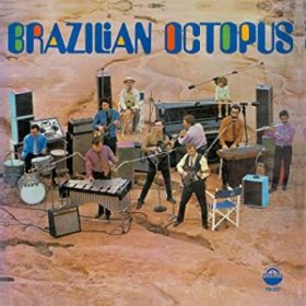 Brazilian Octopus