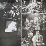 Nirvana - MTV Unplugged In New York