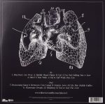 Florence + The Machine - Lungs