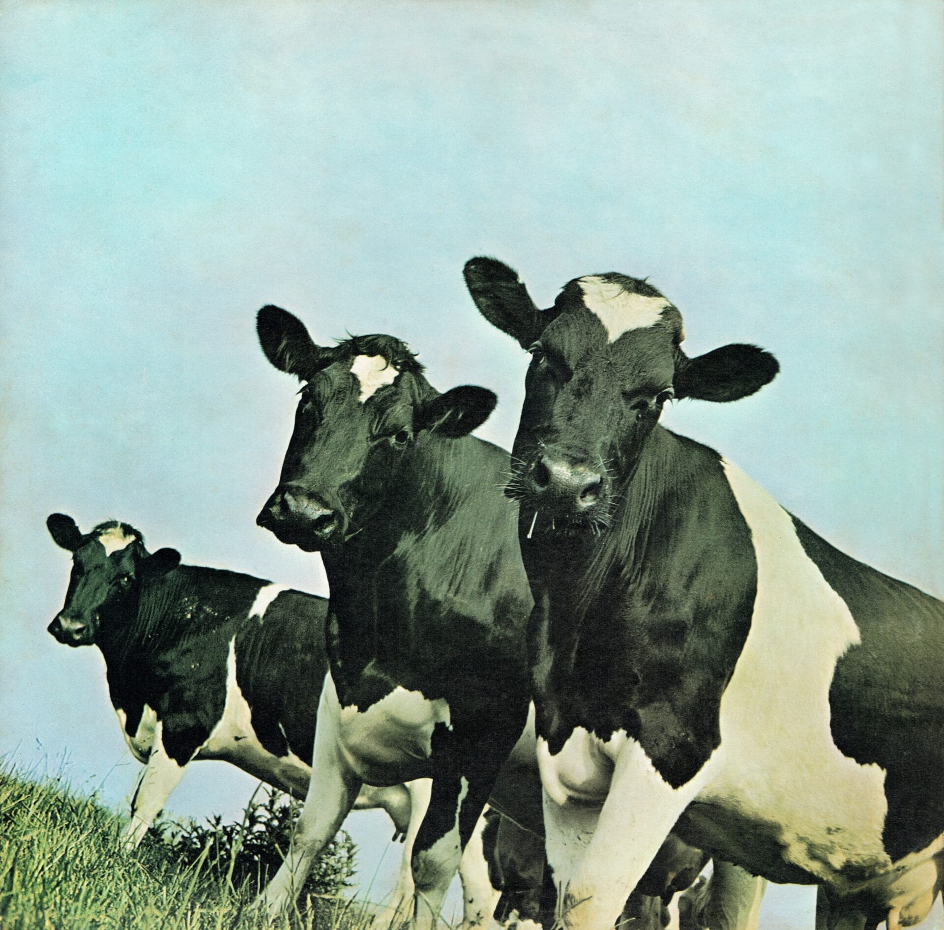 Pink Floyd - Atom Heart Mother - Mundo Vinyl