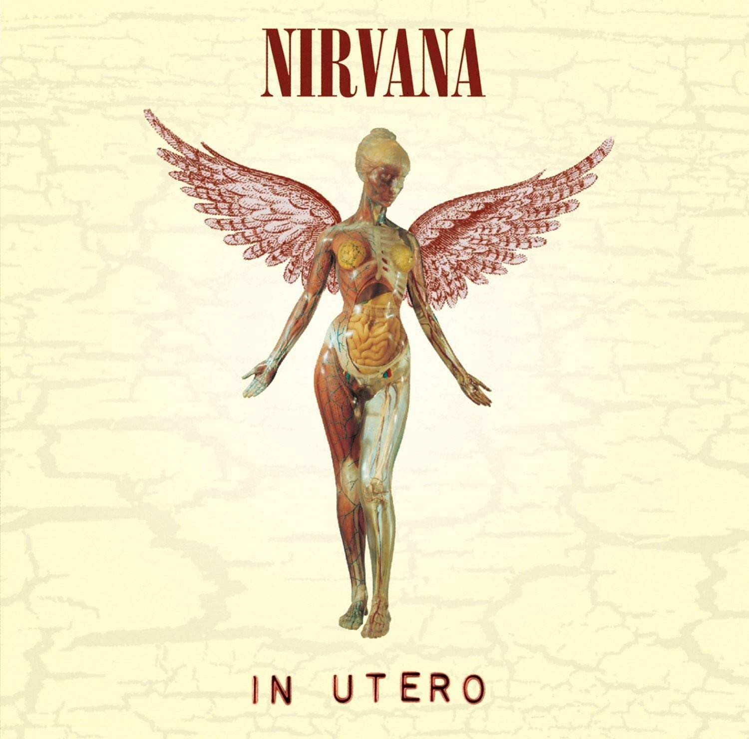 NIRVANA in utero クリアレコード Nirvana - In Utero - Mundo Vinyl