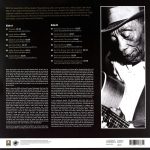 Blind Boy Fuller - The Rough Guide to Blues Legends