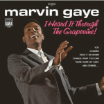 Marvin Gaye - I Heard It Through The Grapevine (Grape Vinyl)