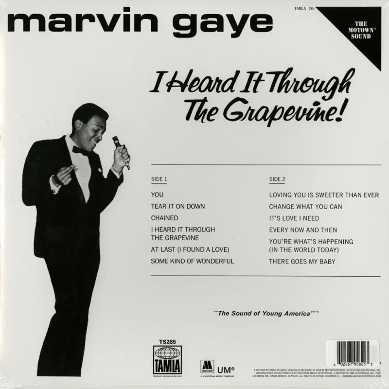 Marvin Gaye - I Heard It Through The Grapevine (Grape Vinyl)