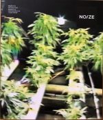 Planet Hemp - Jardineiros (Disco Verde - Noize)