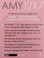 Amy Winehouse - Amy 12x7