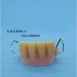 Charlie Brown Jr. - Bocas Ordinárias (Disco Azul) - Imagem 2
