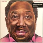 Muddy Waters - I'm Ready