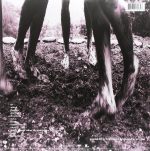 Pearl Jam - Vs.