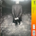 Sting - The Bridge