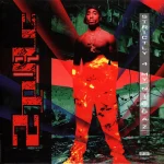 2Pac - Strictly 4 My N.I.G.G.A.Z... (25th Anniversary Edition)