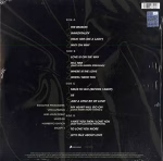 Celine Dion - Let's Talk About Love (Orange Vinyl) - Imagem 2