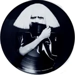 Lady Gaga - The Fame Monster (Picture Vinyl)