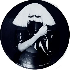 Lady Gaga - The Fame Monster (Picture Vinyl)