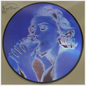 Madonna - Erotica (Picture Vinyl - 30 Years Of Erotica)