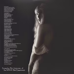 Taylor Swift - The Tortured Poets Department: The Anthology (4 LP's Marbled) - Imagem 3