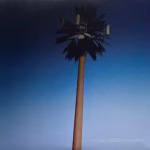 Miley Cyrus – Endless Summer Vacation (White Vinyl) - Imagem 3