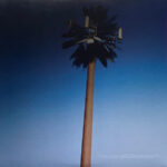 Miley Cyrus – Endless Summer Vacation - Imagem 2