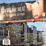 Morrissey – California Son - Imagem 2