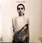 PJ Harvey – 4-Track Demos - Imagem 2