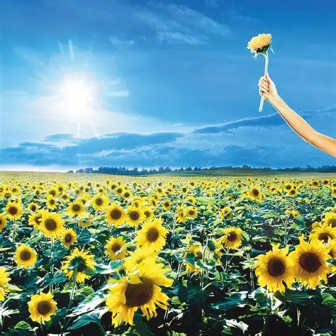 Stone Temple Pilots – Thank You Stone Temple Pilots – Thank You