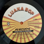 Mutantes – Everything Is Possible! The Best Of Os Mutantes - Imagem 5