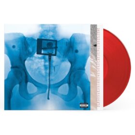 Bossa N' Box - The Complete Electro Bossa Songbook (6 CD's