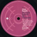 Pink Floyd – Delicate Sound Of Thunder (Box 3 LP's) - Imagem 7