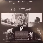 Twenty One Pilots - Vessel (Silver Vinyl) - Imagem 6