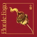 Planta E Raiz – Flor De Fogo (Vinil Amarelo) - Imagem 2