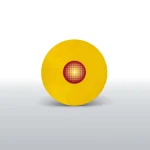 Planta E Raiz – Flor De Fogo (Vinil Amarelo)