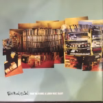Fatboy Slim – You've Come A Long Way, Baby (20th Anniversary Edition) - Imagem 5