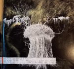 Radiohead – Amnesiac - Imagem 6
