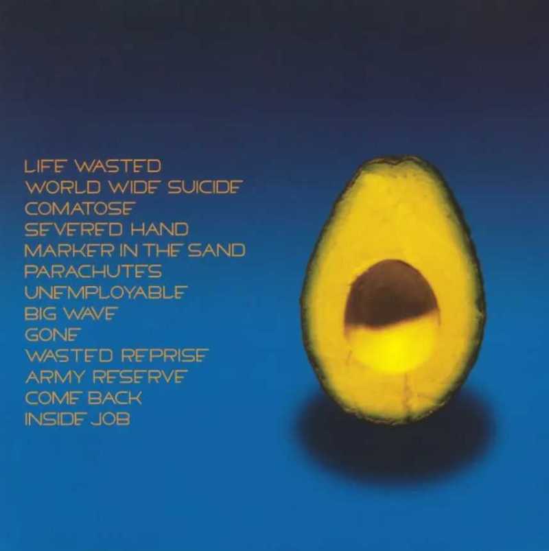 Pearl Jam – Pearl Jam "Avocado Album"
