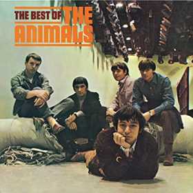 Animalsfrente